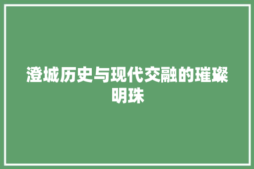 澄城历史与现代交融的璀璨明珠