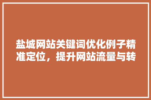 盐城网站关键词优化例子精准定位，提升网站流量与转化率