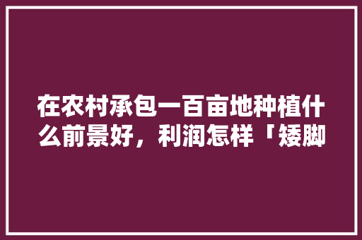 在农村承包一百亩地种植什么前景好，利润怎样「矮脚番茄怎么种植好吃又简单」 在农村承包一百亩地种植什么前景好，利润怎样「矮脚番茄怎么种植好吃又简单」 植物种类