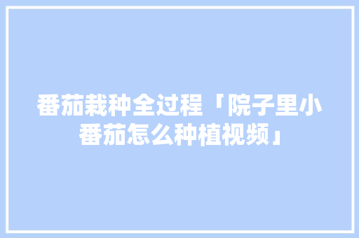 番茄栽种全过程「院子里小番茄怎么种植视频」 番茄栽种全过程「院子里小番茄怎么种植视频」 农业常识
