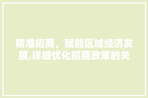 精准招商，赋能区域经济发展,详细优化招商政策的关键词步骤