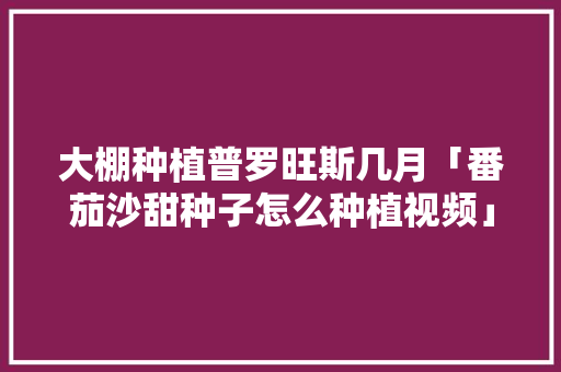 大棚种植普罗旺斯几月「番茄沙甜种子怎么种植视频」 番茄病虫害防治 大棚种植普罗旺斯几月「番茄沙甜种子怎么种植视频」 大棚种植普罗旺斯几月「番茄沙甜种子怎么种植视频」 番茄病虫害防治