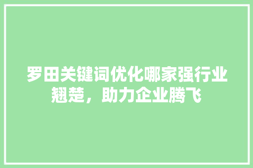 罗田关键词优化哪家强行业翘楚，助力企业腾飞