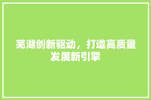 芜湖创新驱动，打造高质量发展新引擎