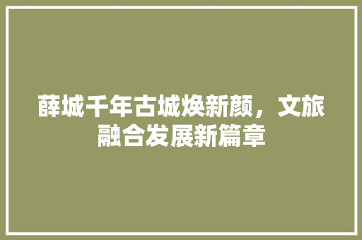 薛城千年古城焕新颜，文旅融合发展新篇章