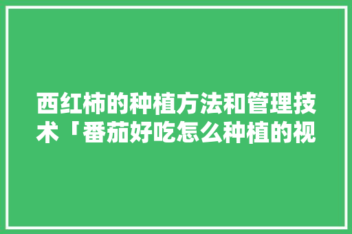 西红柿的种植方法和管理技术「番茄好吃怎么种植的视频」 西红柿的种植方法和管理技术「番茄好吃怎么种植的视频」 农业常识