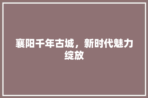 襄阳千年古城，新时代魅力绽放