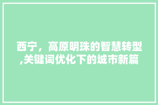 西宁，高原明珠的智慧转型,关键词优化下的城市新篇章 种植技巧