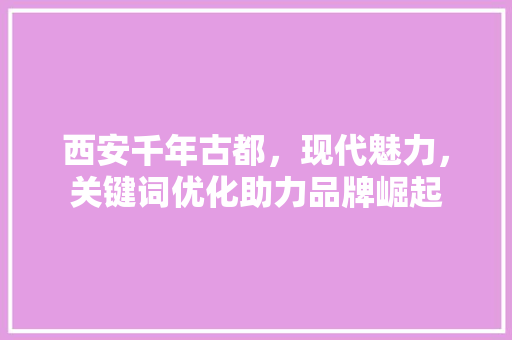 西安千年古都，现代魅力，关键词优化助力品牌崛起
