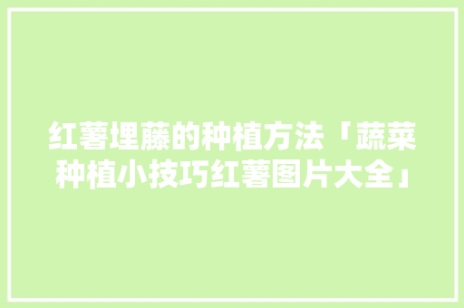 红薯埋藤的种植方法「蔬菜种植小技巧红薯图片大全」 红薯埋藤的种植方法「蔬菜种植小技巧红薯图片大全」 农业常识