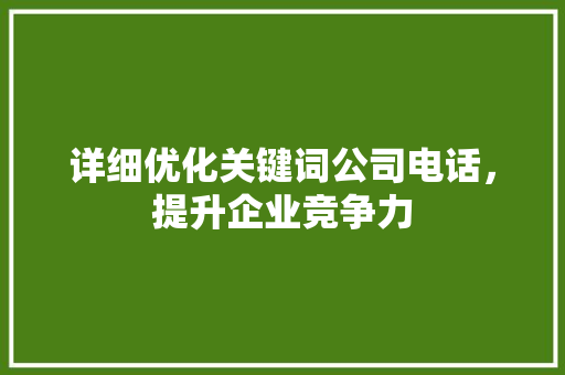 详细优化关键词公司电话，提升企业竞争力