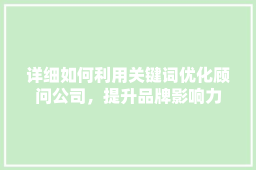 详细如何利用关键词优化顾问公司，提升品牌影响力