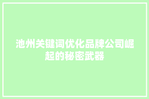 池州关键词优化品牌公司崛起的秘密武器