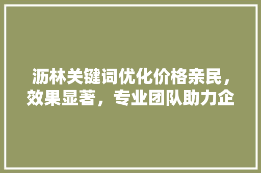 沥林关键词优化价格亲民，效果显著，专业团队助力企业腾飞