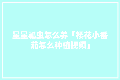 星星瓢虫怎么养「樱花小番茄怎么种植视频」