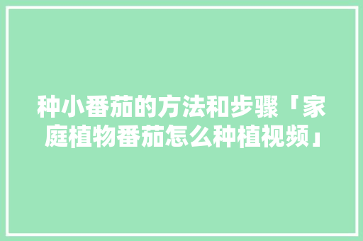 种小番茄的方法和步骤「家庭植物番茄怎么种植视频」 种小番茄的方法和步骤「家庭植物番茄怎么种植视频」 植物种类