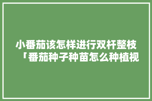 小番茄该怎样进行双杆整枝「番茄种子种苗怎么种植视频教程」 小番茄该怎样进行双杆整枝「番茄种子种苗怎么种植视频教程」 植物种类