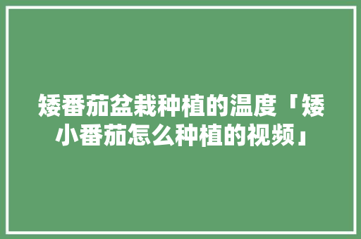 矮番茄盆栽种植的温度「矮小番茄怎么种植的视频」 矮番茄盆栽种植的温度「矮小番茄怎么种植的视频」 农业常识