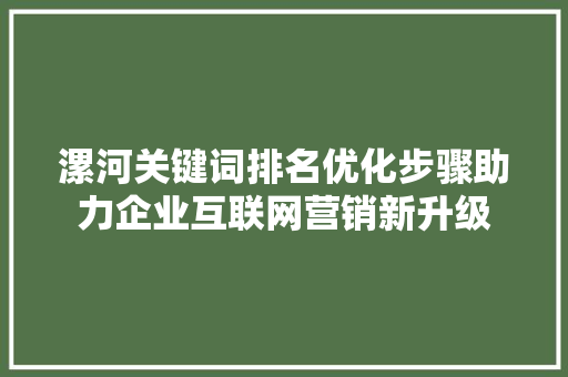 漯河关键词排名优化步骤助力企业互联网营销新升级