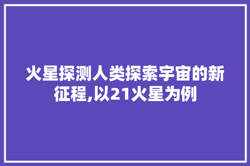 火星探测人类探索宇宙的新征程,以21火星为例