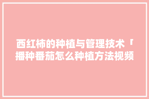 西红柿的种植与管理技术「播种番茄怎么种植方法视频」 西红柿的种植与管理技术「播种番茄怎么种植方法视频」 番茄种植技巧