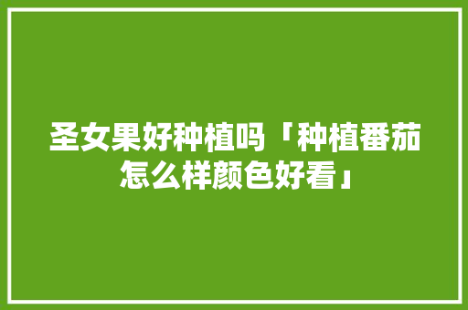 圣女果好种植吗「种植番茄怎么样颜色好看」 圣女果好种植吗「种植番茄怎么样颜色好看」 土壤施肥