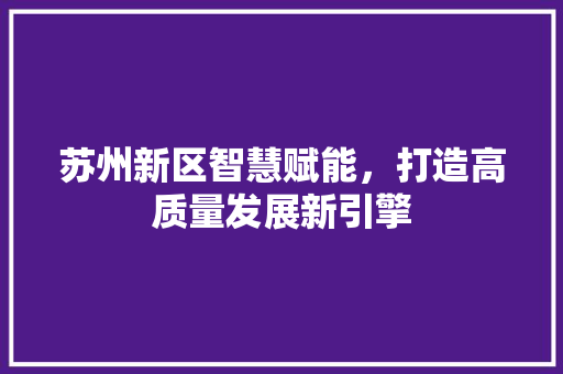 苏州新区智慧赋能，打造高质量发展新引擎