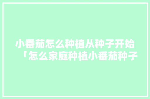 小番茄怎么种植从种子开始「怎么家庭种植小番茄种子呢」 小番茄怎么种植从种子开始「怎么家庭种植小番茄种子呢」 番茄种植技巧