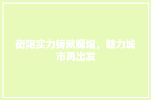 衡阳实力铸就辉煌，魅力城市再出发