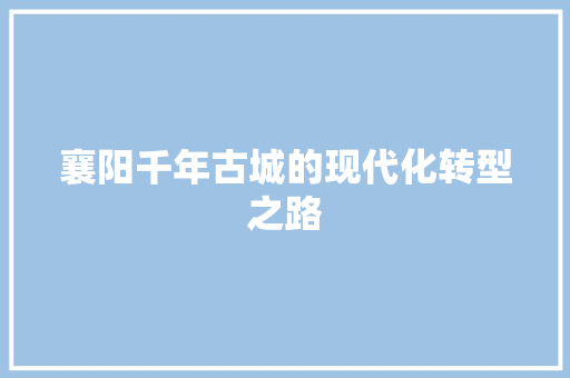 襄阳千年古城的现代化转型之路