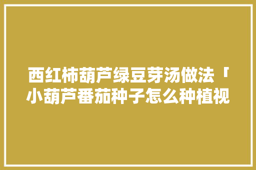 西红柿葫芦绿豆芽汤做法「小葫芦番茄种子怎么种植视频」 西红柿葫芦绿豆芽汤做法「小葫芦番茄种子怎么种植视频」 土壤施肥