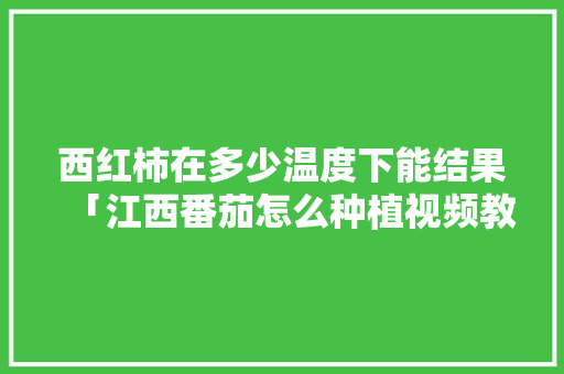 西红柿在多少温度下能结果「江西番茄怎么种植视频教程」 西红柿在多少温度下能结果「江西番茄怎么种植视频教程」 花朵知识