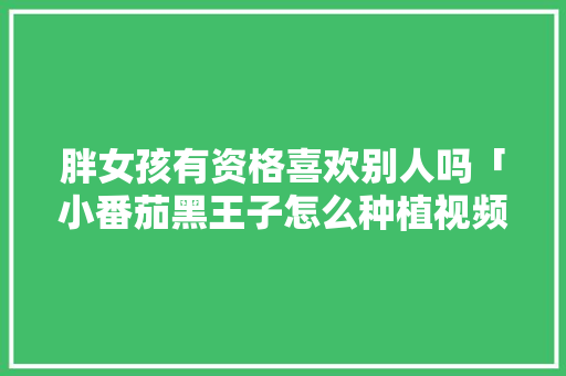 胖女孩有资格喜欢别人吗「小番茄黑王子怎么种植视频」 胖女孩有资格喜欢别人吗「小番茄黑王子怎么种植视频」 种植技巧
