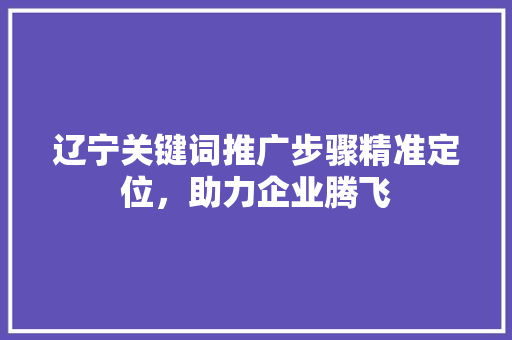 辽宁关键词推广步骤精准定位，助力企业腾飞