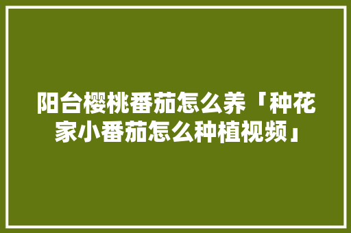 阳台樱桃番茄怎么养「种花家小番茄怎么种植视频」 阳台樱桃番茄怎么养「种花家小番茄怎么种植视频」 番茄病虫害防治