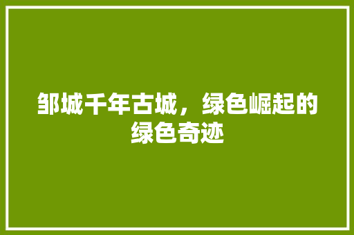邹城千年古城，绿色崛起的绿色奇迹