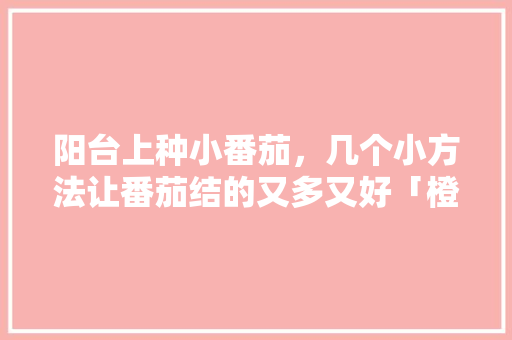 阳台上种小番茄，几个小方法让番茄结的又多又好「橙色番茄怎么种植方法视频」 阳台上种小番茄，几个小方法让番茄结的又多又好「橙色番茄怎么种植方法视频」 番茄病虫害防治