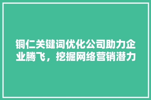 铜仁关键词优化公司助力企业腾飞，挖掘网络营销潜力