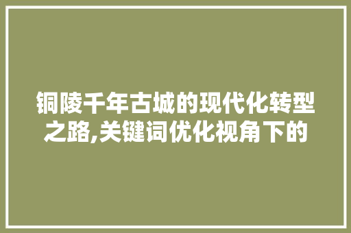铜陵千年古城的现代化转型之路,关键词优化视角下的城市变迁