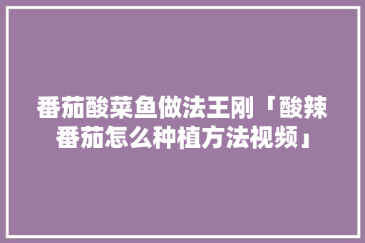 番茄酸菜鱼做法王刚「酸辣番茄怎么种植方法视频」 番茄酸菜鱼做法王刚「酸辣番茄怎么种植方法视频」 种植技巧