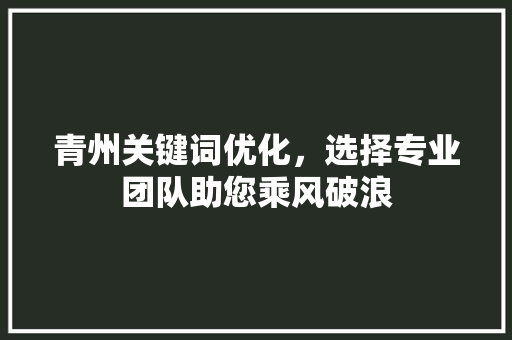青州关键词优化，选择专业团队助您乘风破浪