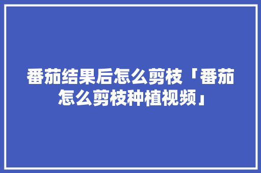 番茄结果后怎么剪枝「番茄怎么剪枝种植视频」 番茄结果后怎么剪枝「番茄怎么剪枝种植视频」 花朵知识
