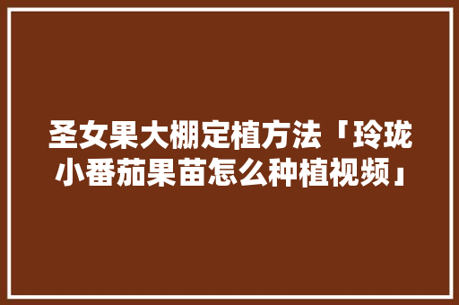 圣女果大棚定植方法「玲珑小番茄果苗怎么种植视频」 圣女果大棚定植方法「玲珑小番茄果苗怎么种植视频」 土壤施肥