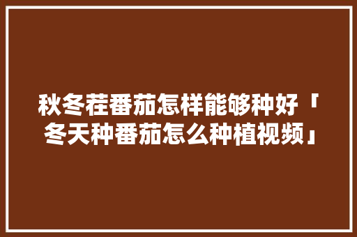 秋冬茬番茄怎样能够种好「冬天种番茄怎么种植视频」 秋冬茬番茄怎样能够种好「冬天种番茄怎么种植视频」 种植技巧