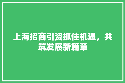 上海招商引资抓住机遇，共筑发展新篇章