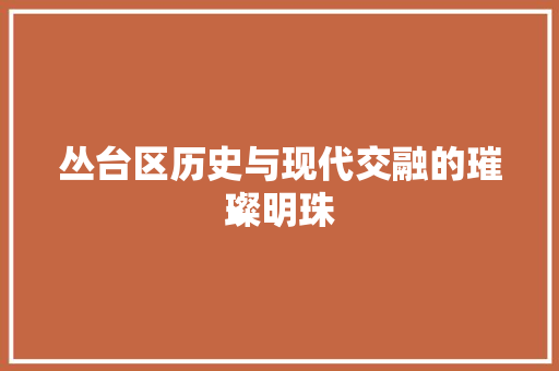 丛台区历史与现代交融的璀璨明珠