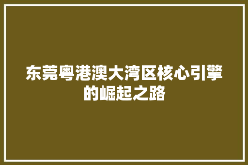 东莞粤港澳大湾区核心引擎的崛起之路
