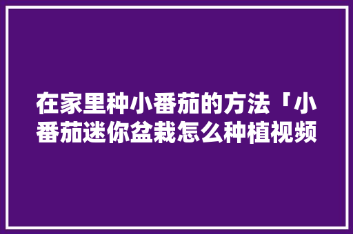 在家里种小番茄的方法「小番茄迷你盆栽怎么种植视频」 在家里种小番茄的方法「小番茄迷你盆栽怎么种植视频」 农业常识
