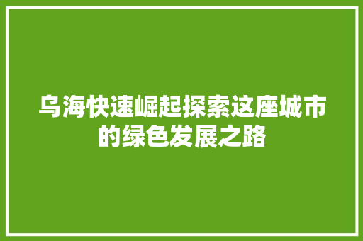 乌海快速崛起探索这座城市的绿色发展之路