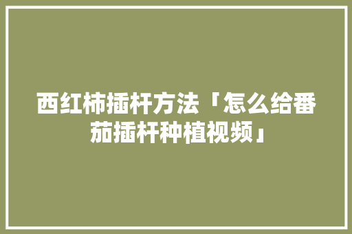 西红柿插杆方法「怎么给番茄插杆种植视频」 西红柿插杆方法「怎么给番茄插杆种植视频」 番茄病虫害防治